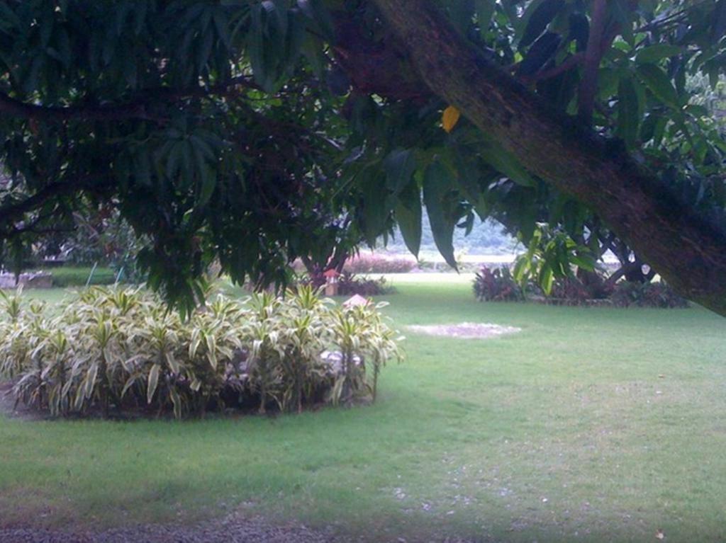 Dewdrop Mango Bloom Resort Jim Corbett National Park Oda fotoğraf
